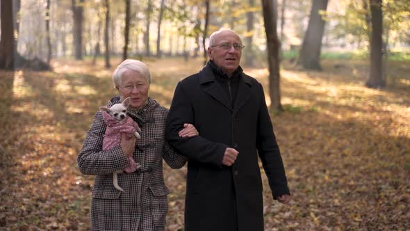 Elderly Couple Spending Time on Walk with Dog