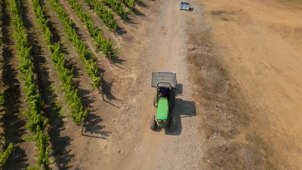 Dolly in aerial view of a green tractor in a vineyard transporting a bin full of grapes.