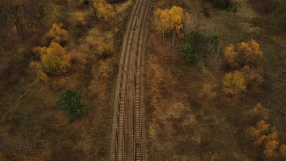 Aerial View of Trees Near Rail in Autumn Season