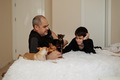 young father resting with teen son on bed with pet small dogs - PhotoDune Item for Sale