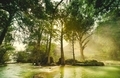 Bosque de Chiapas  - PhotoDune Item for Sale