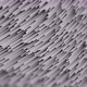 Abstract Deformed Greyscale Spline Flow - Background Animation Loop - VideoHive Item for Sale