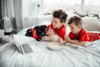 christmas time cozy family with popcorn watching netflix channel television laptop brothers fun