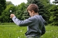 A little blond boy in a gray hoodie is sitting on the green grass and playing with dandelions. - PhotoDune Item for Sale