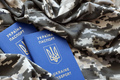 Ukrainian foreign passport on fabric with texture of military pixeled camouflage - PhotoDune Item for Sale