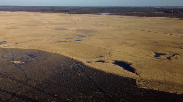 Aerial view of the lake overgrown with brown reeds, lake Pape nature park, Rucava, Latvia, sunny spr