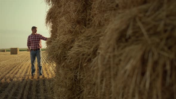 Farmer Checking Hay Stack in Stubble Field