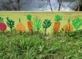 painted garden bed for greens and vegetables in the spring garden - PhotoDune Item for Sale