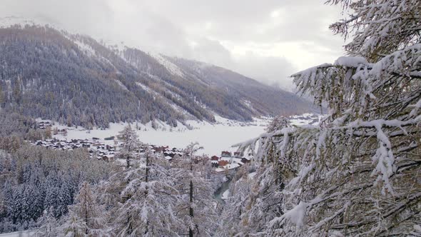 Gentle Flying Views Through the Swiss Winter Landscape Trees