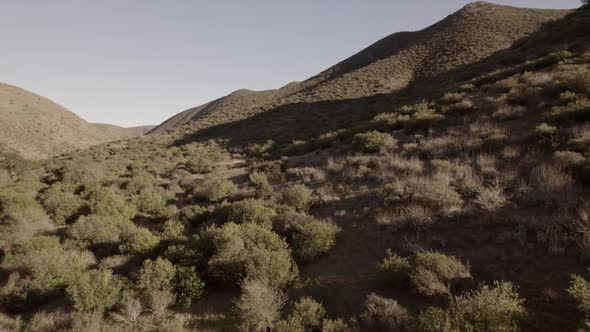 Moving Aerial View Over Hills and Brush with Mountains Southern California