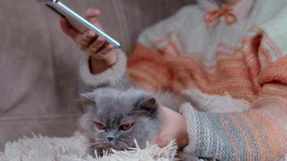 Alone Woman Stroking a Cat on the Couch and Using the Phone in the Evening