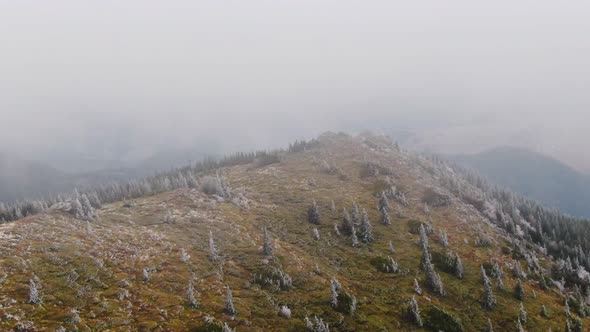 Aerial View Frozen Mountain with Trees in Autumn