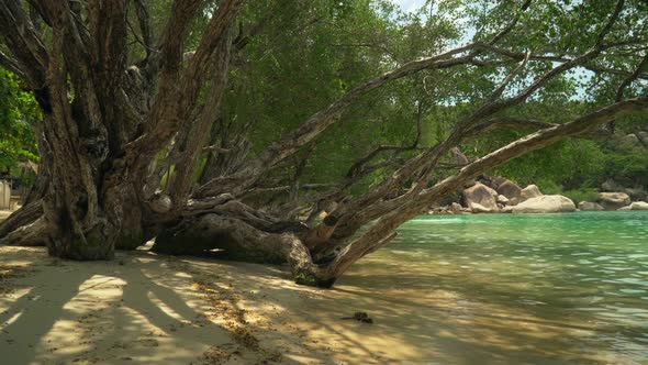 Pano Thailand Beach 