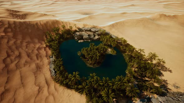 Top Down Aerial View of Oasis in Desert