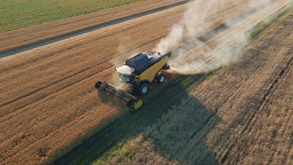 Harvester Combine Working in the Field