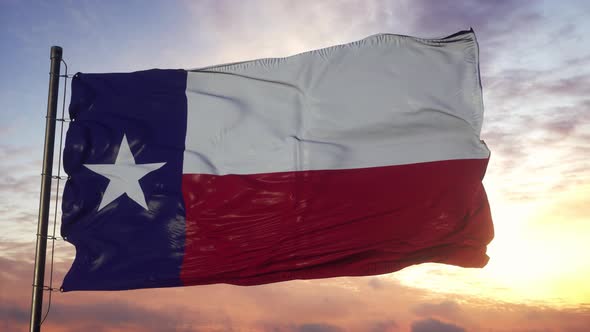 Flag of Texas Waving in the Wind Against Deep Beautiful Sky at Sunset
