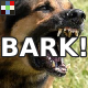 Big Dog Bark