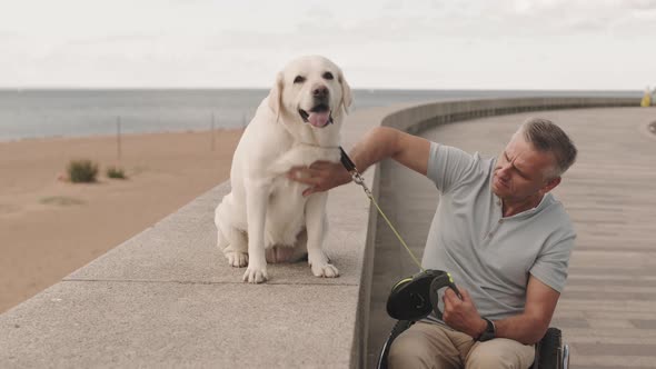 Wheelchair Man with Dog Near Beach