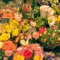 spring flowers in Paris - PhotoDune Item for Sale
