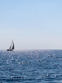 A sailing - PhotoDune Item for Sale