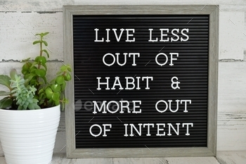 Live less out of habit &amp; more out of intent. seize &amp; enjoy each moment – spelled out on it with succulent plants next to it. – MargJohnsonVA, Life is short. Carpe diem. Seize the day. Seize the moment. Live life to the fullest. No regrets. No excuses. Spend time with your family. Life quote. Live with intent intentions purpose