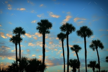 e sky with clouds tropical vibe classic California beach island natural background nature  South Carolina
