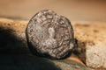 Macro of an ancient stamp from 10th century  - PhotoDune Item for Sale