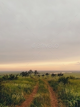 rees and sundown sky in evening 
path; field; sunset; sky; countryside; tree; grass; cloudy; track; evening; twilight; dusk; sundown; meadow; nature; landscape; idyllic; tranquil; weather; picturesque; peaceful; nobody; harmony; calm; serene; summer; flora; scenic; rural; breathtaking; season; plant; freedom; way; trail; route; overcast; journey; travel; environment; vertical; outdoors; sun; green; road; sunny; country; sunlight; beautiful; hill