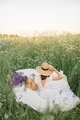 Rear view of a girl in a summer white sundress and hat sitting on a bed in a field with flowers. - PhotoDune Item for Sale