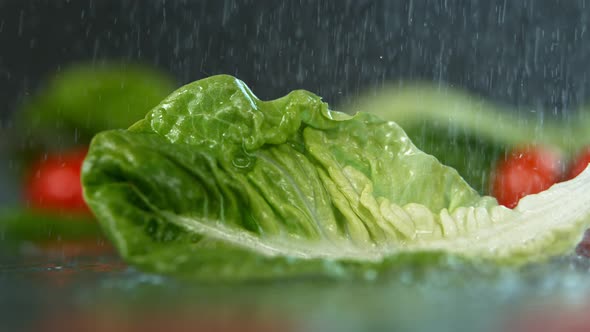 Water Falling to Lettuce in Super Slow Motion Shot with High Speed Cinema Camera in   1000Fps