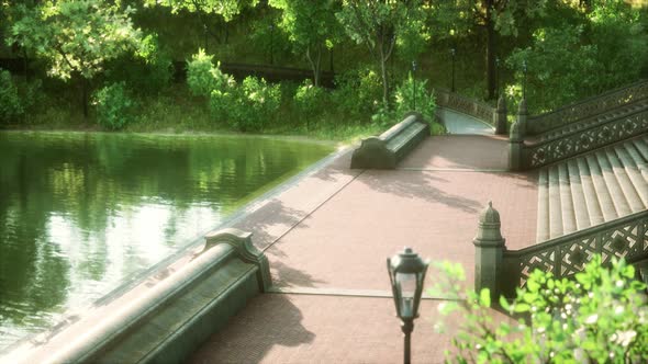 Tranquil Pond Framed By Lush Green Woodland Park in Sunshine