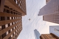 Looking up through towering skyscrapers at a large jumbo jet flying in the clouds. - PhotoDune Item for Sale