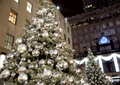Christmas tree ornaments on tree downtown outside - PhotoDune Item for Sale
