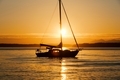 Sailboat in silhouette at sunset golden hour.  - PhotoDune Item for Sale