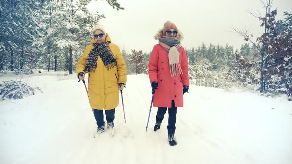 Hiker Practicing Nordic Walking In Forest. Sticks Walking Winter Wood. Nordic Walking Trekking Stick