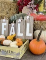 Celebrating fall with colorful display - PhotoDune Item for Sale