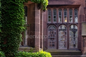 uildings at Princeton University, old, league, university, architecture, ivy, princeton, background, nature, wall, texture, outdoor, college, education, advanced, historical, building, universities, campus, plant, exterior, dormitory, mansion, green, historic, leaf, facade, surface, creeper, classes, house, jersey, famous, creeping, window, covered, design, brick, stone, usa, america, academia, school, dorm, city, sandstone, gothic, garden, travel