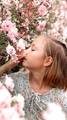 The Scent of Roses - PhotoDune Item for Sale