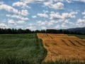 Summertime farmland  - PhotoDune Item for Sale