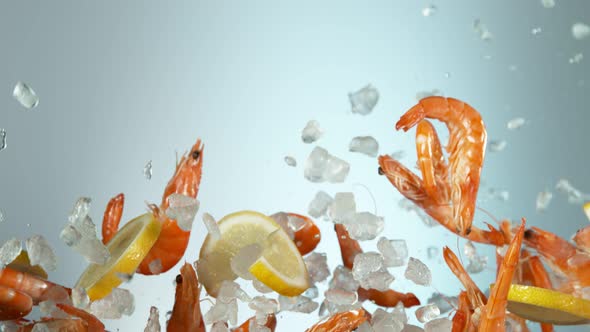 Super Slow Motion Shot of Flying Fresh Prawns with Crushed Ice and Lemon Slices at 1000 Fps.