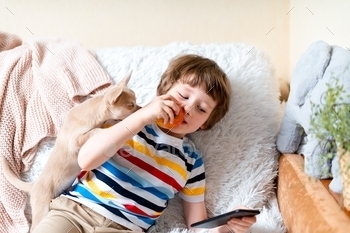  on couch with blanket. Portrait of a happy kid boy eat apple hugging a puppy at cozy home on sofa and play smartphone together. Stay at home concept