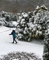 Cross-Country Skiing during a city snowstorm. - PhotoDune Item for Sale
