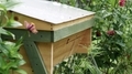 A beehive in the garden  - PhotoDune Item for Sale