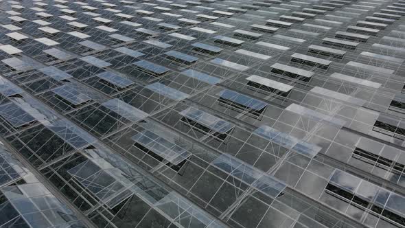 Glass greenhouse roofs