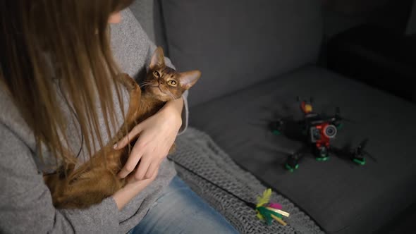 Young Woman Lulls Cute Abyssinian Cat or Kitten Sitting on Sofa with FPV Drone and Cat Toy in