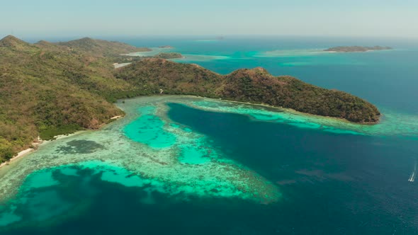 Tropical Island with Sandy Beach Philippines Palawan