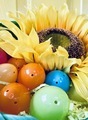 Festive Spring basket filled with Easter eggs and a bright yellow sunflower  - PhotoDune Item for Sale