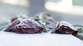 Frost on red roses laid on a lonely gravestone. - PhotoDune Item for Sale