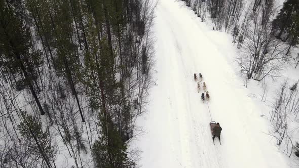 Drone Aerial View of Dogsledding Handler with Team of Trained Husky Dogs Mountain Pass Husky Dog