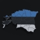 Political Map of Estonia - 3DOcean Item for Sale